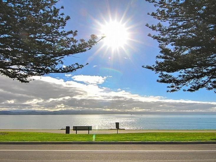 Beach House Studios Napier Exterior photo